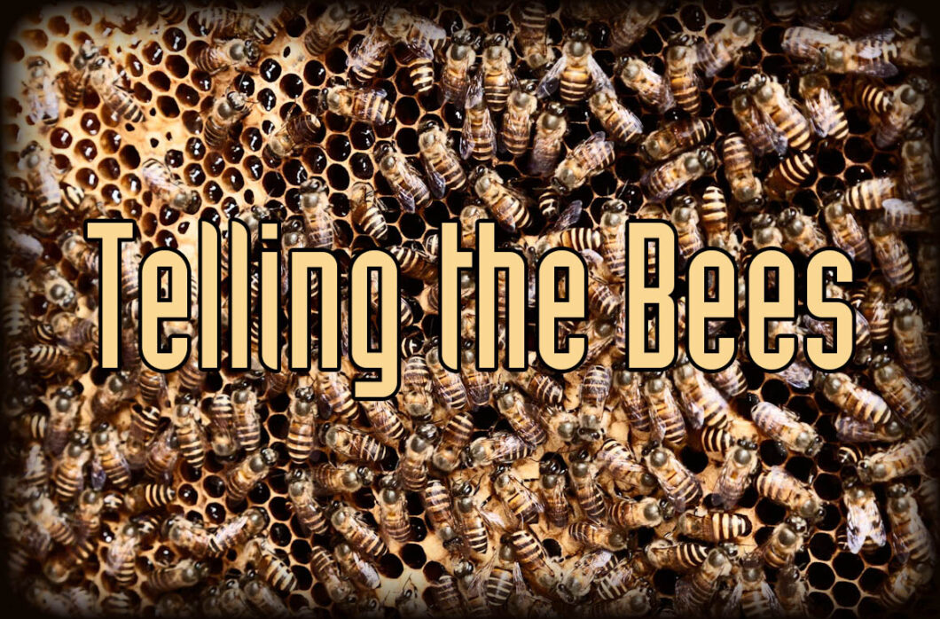 Telling the Bees Delta Green