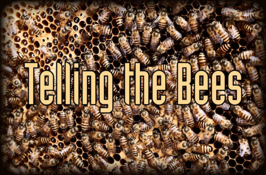 Telling the Bees Delta Green