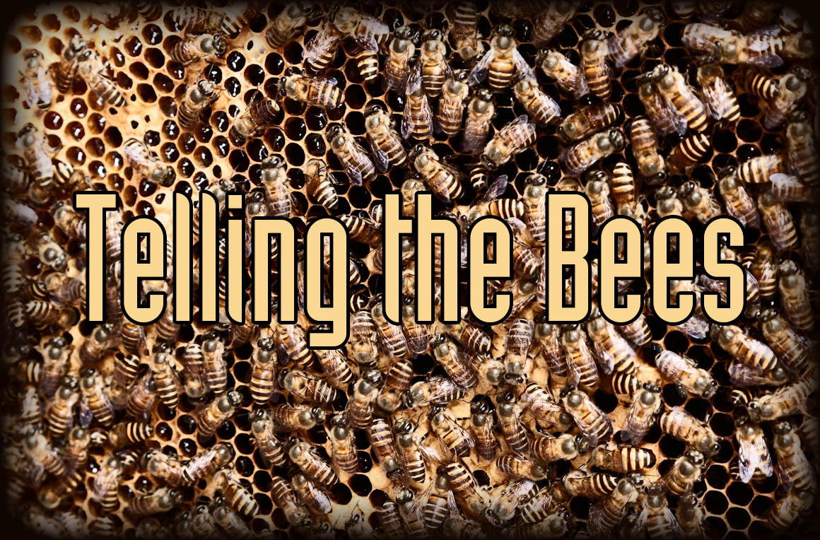 Telling the Bees Delta Green